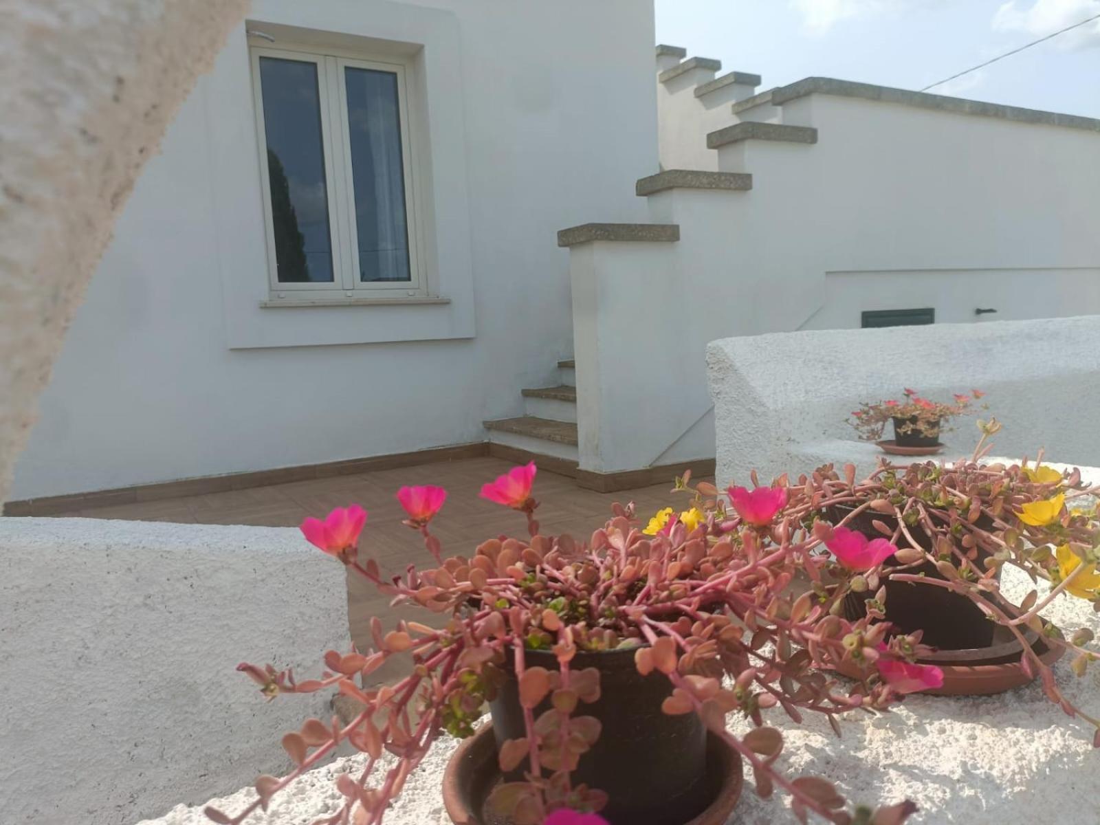 Villa Raffaella Spongano Zewnętrze zdjęcie